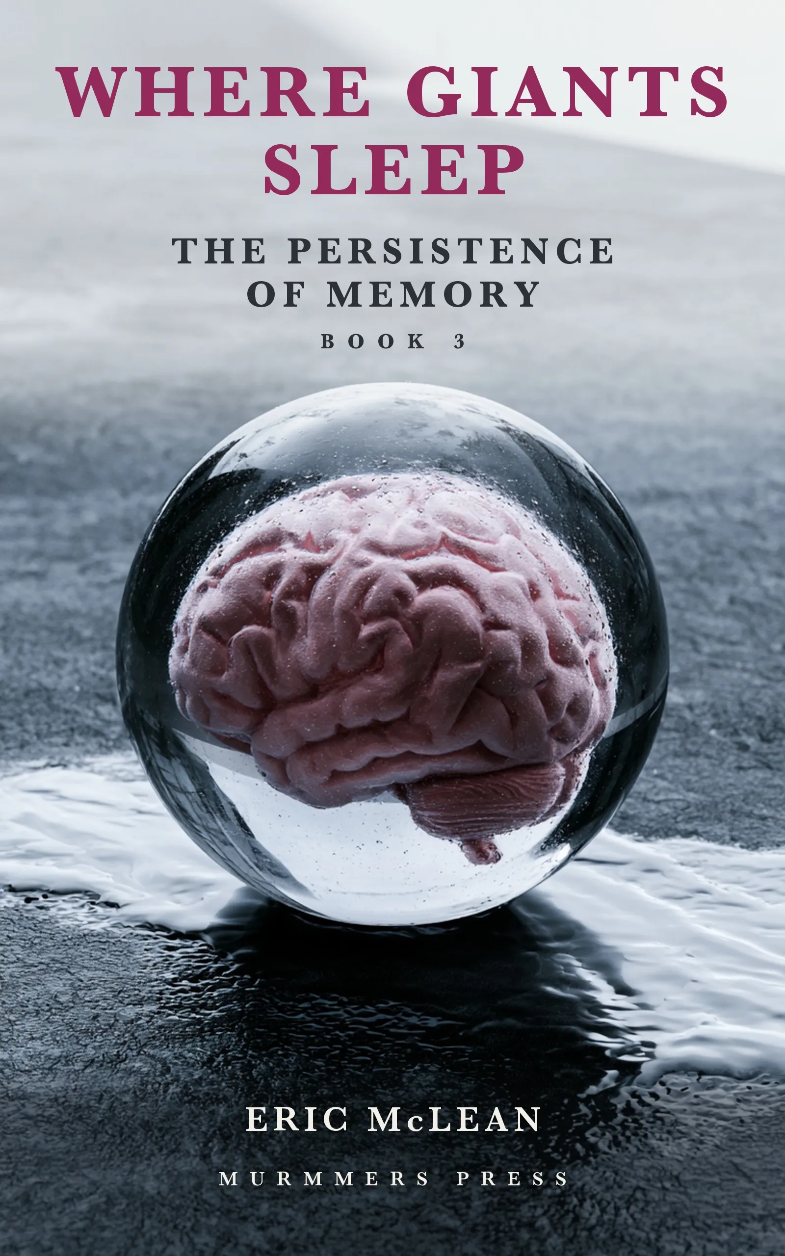 Cover of The Persistence of Memory